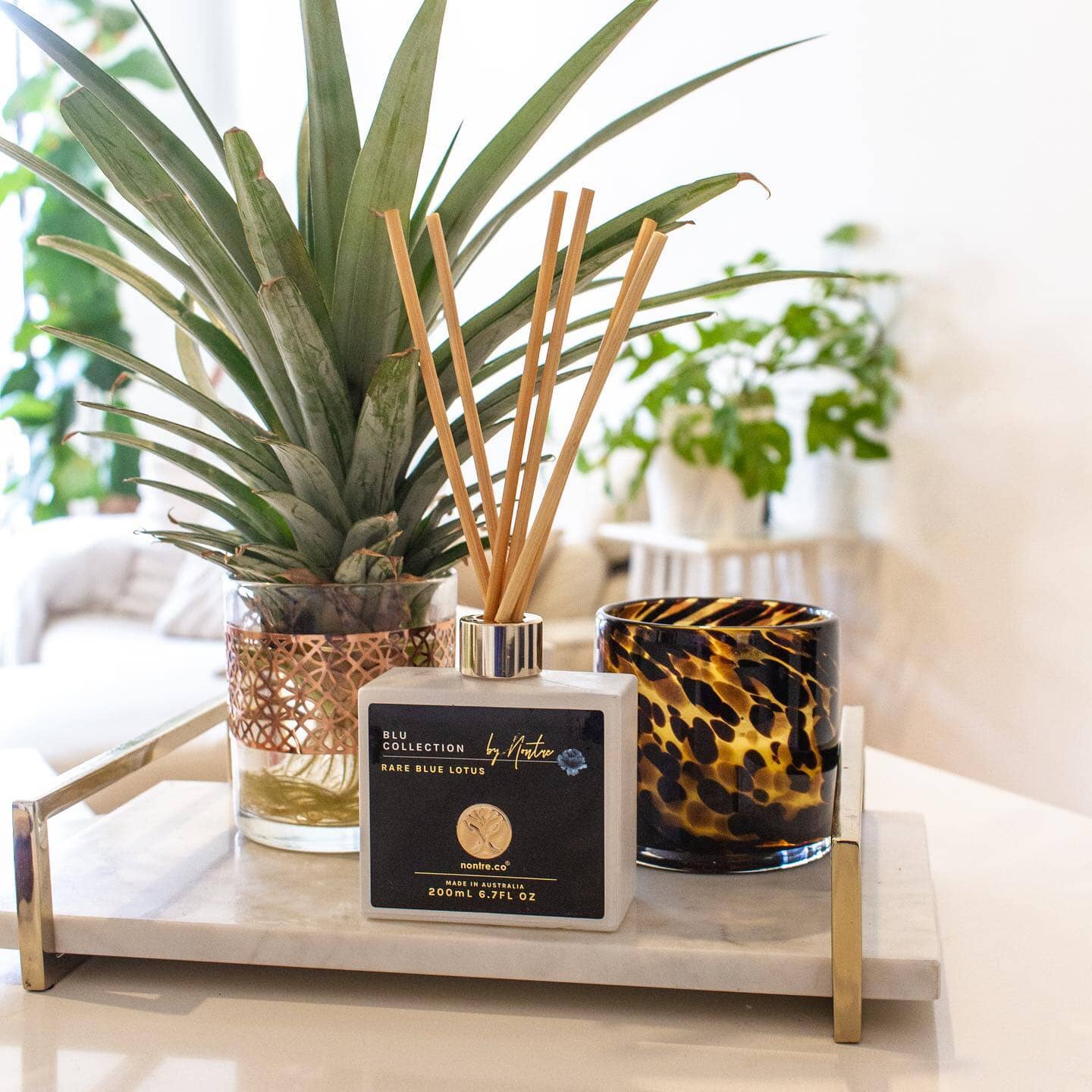 Reed Diffuser 200mL, Rare Blu Lotus – nontre.co